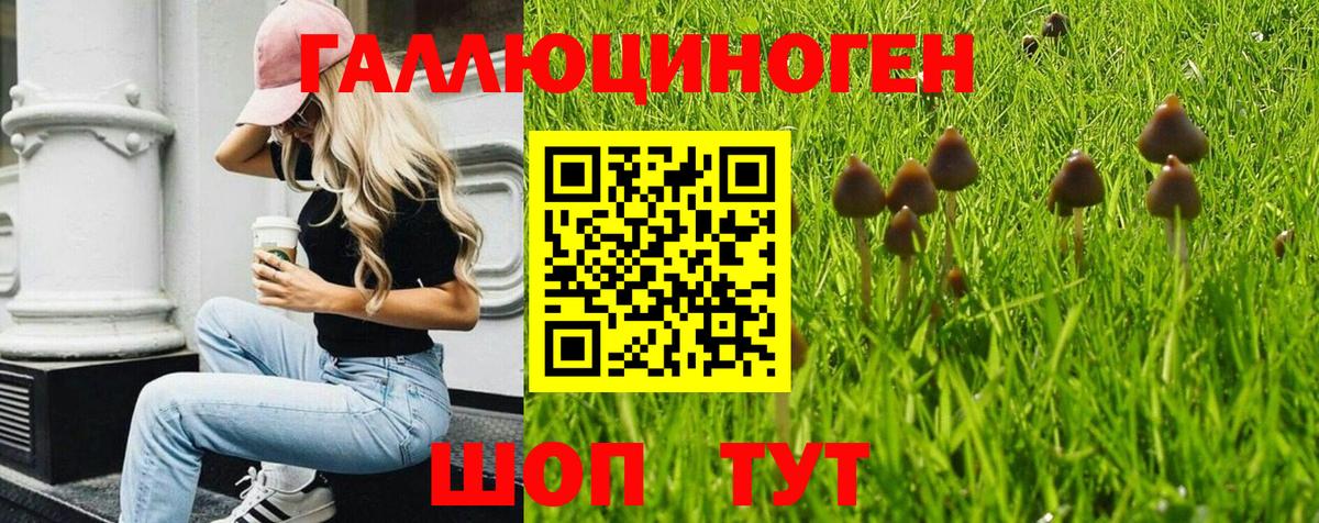 Псилоцибиновые грибы ЛСД  Вход с VPN  Михайловка  Галлюциногенные грибы прущие грибы 